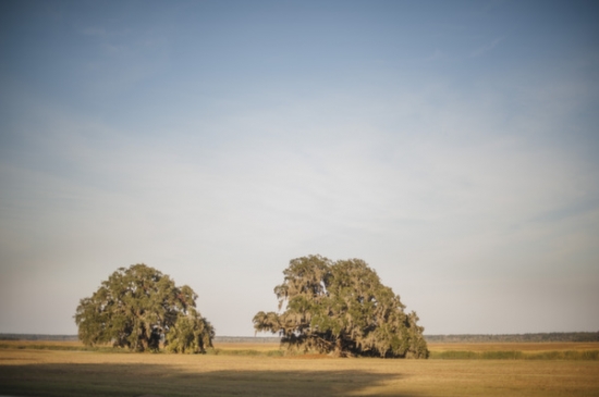 equestrian-themed-wedding-must-haves