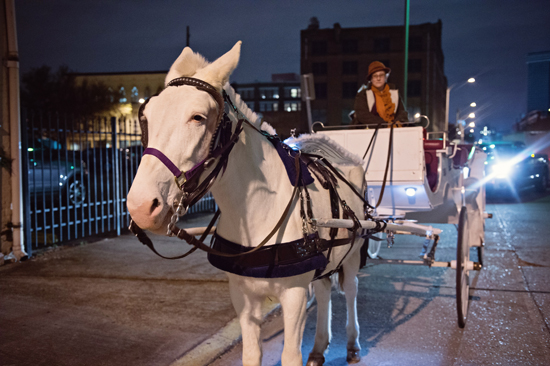 White horse and carriage ride at night city street