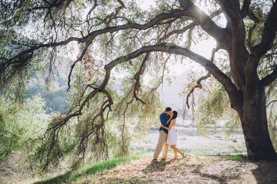 Romantic couple kissing beneath large tree outdoors