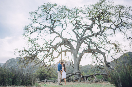 Romantic couple shares a kiss under a grand old tree