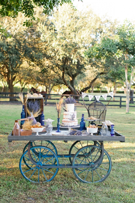 rustic-lush-lavender-wedding
