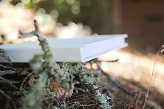 White photo album resting on a bed of mossy branches outdoors
