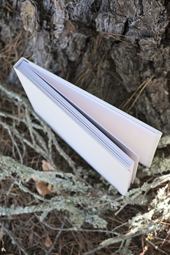 Open white book on wood surrounded by natural elements