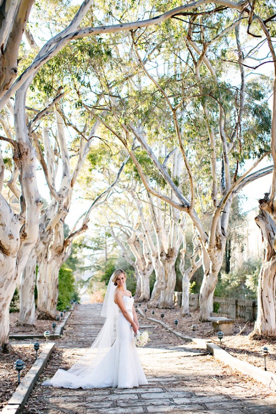 elegant-and-classic-pink-wedding-in