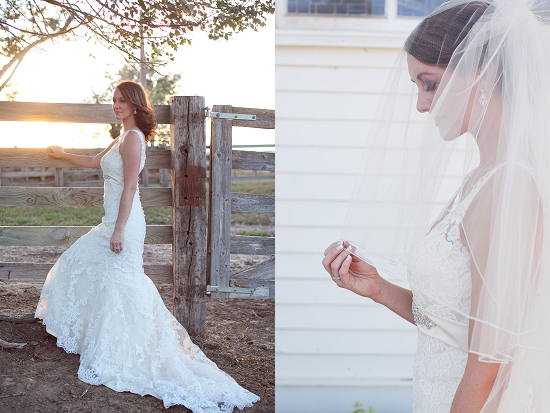 Elegant bride in lace wedding dress and veil