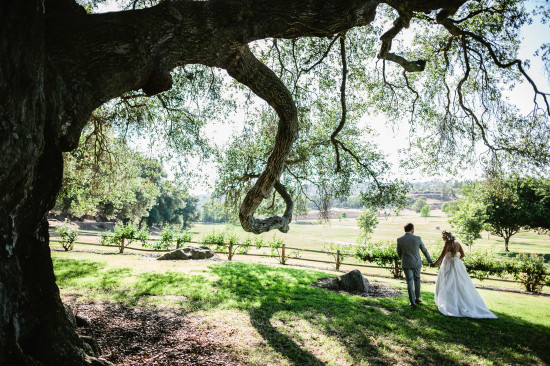Bride and groom walking toward future under the old tree
