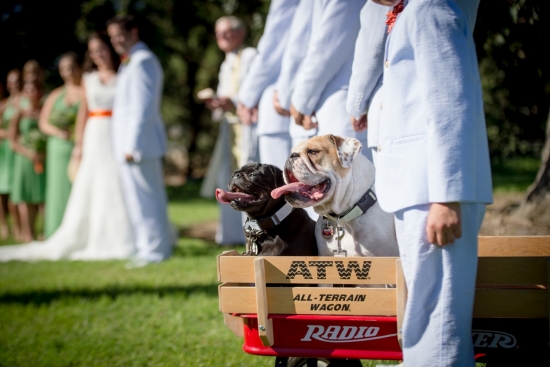 go-craft-crazy-with-this-diy-wedding