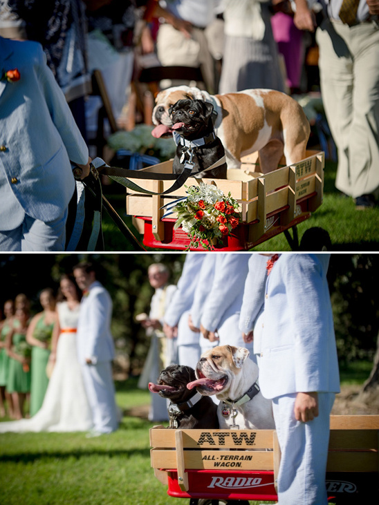 precious dogs as ring bearer and flower girl