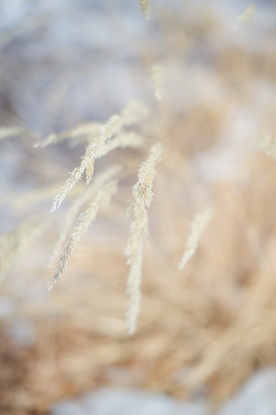 magical-winter-wedding-ideas