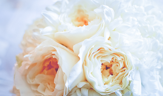 northern-california-farm-wedding