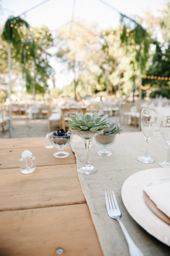 pot-your-own-succulent-centerpieces