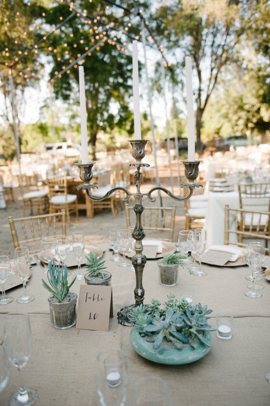 pot-your-own-succulent-centerpieces