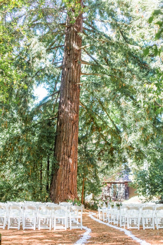 romantic-wedding-under-the-trees