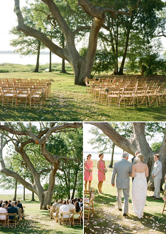 ceremony under a big tree