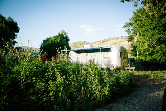 wild-and-free-bohemian-wedding