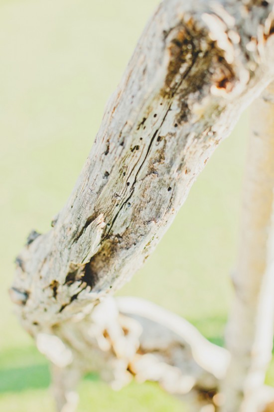 a-desert-wedding-at-the-ritz-carlton