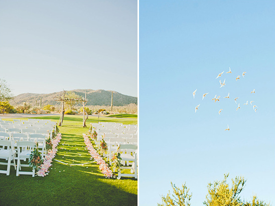 dove release