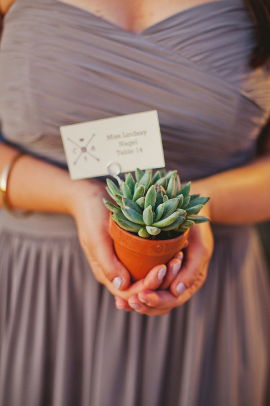 succulent wedding favors