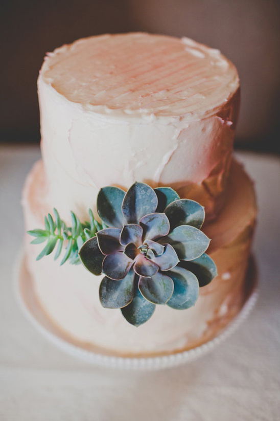 simple succulent accented wedding cake