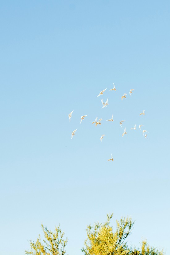 a-desert-wedding-at-the-ritz-carlton