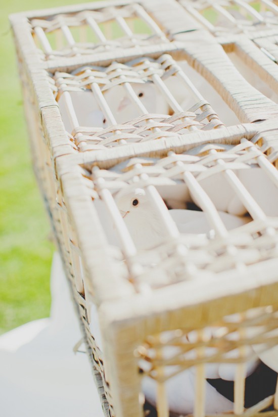 a-desert-wedding-at-the-ritz-carlton