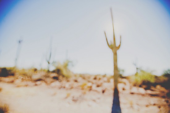 a-desert-wedding-at-the-ritz-carlton