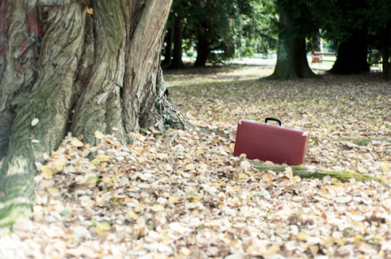 Red briefcase rests against a tree on a bed of fallen leaves