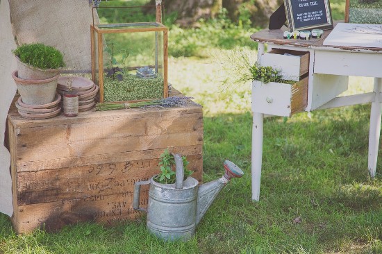 Rustic outdoor decor featuring plants, watering can and wooden crate