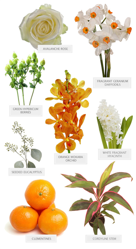 Various flowers and plants like orange mokara orchid and clementines