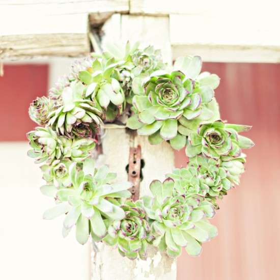 diy-your-wedding-in-a-field