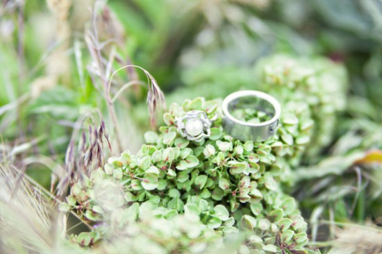 diy-your-wedding-in-a-field