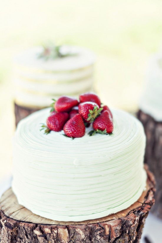 diy-your-wedding-in-a-field