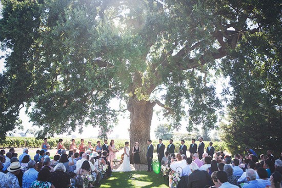 dog-gone-darling-wedding