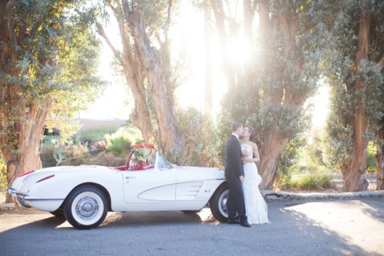 elegant-wedding-with-a-little-bit-of