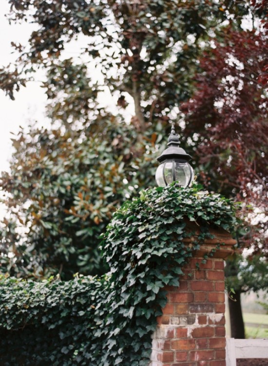 fall-wine-country-wedding-in-virgina