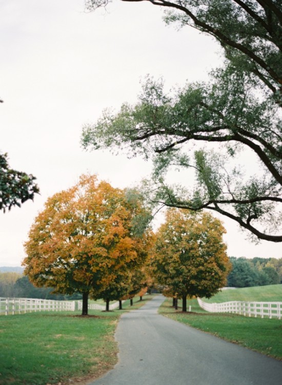 fall-wine-country-wedding-in-virgina