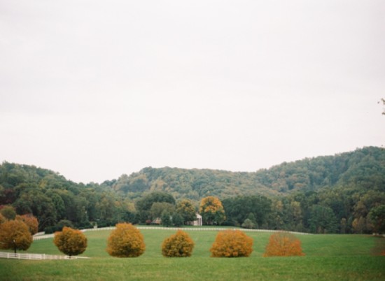 fall-wine-country-wedding-in-virgina