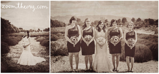 Bride with bridesmaids, sepia toned wedding photo
