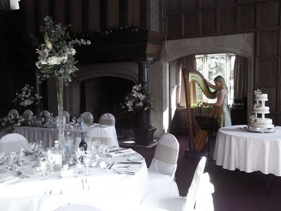 Wedding harpist plays in a beautifully decorated reception hall