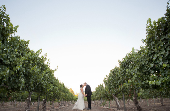 Wedding couple sharing a kiss in a vineyard on their special day