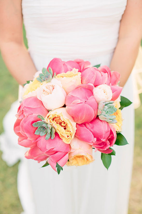 Michele Shore Photography