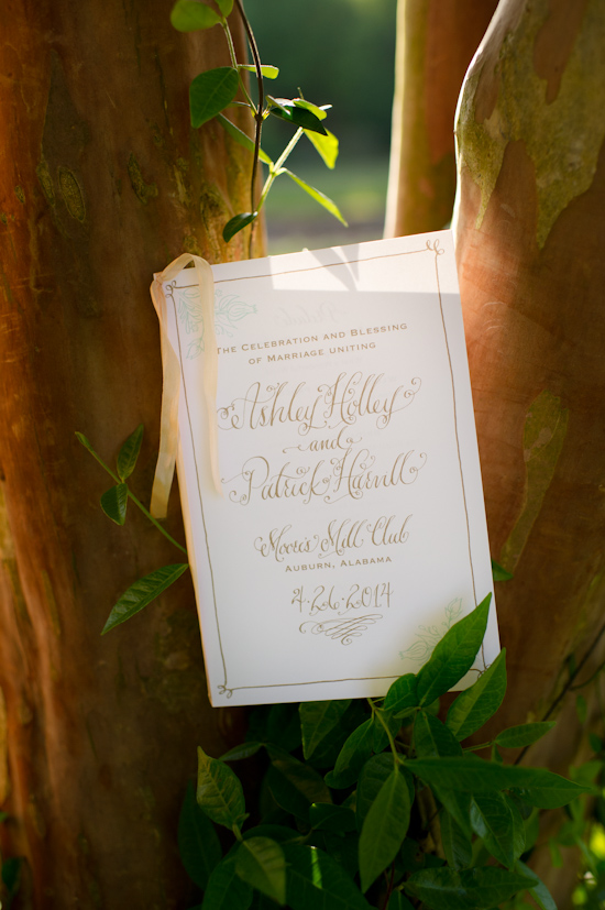 Wedding invitation nestled in a tree with green foliage in soft lighting