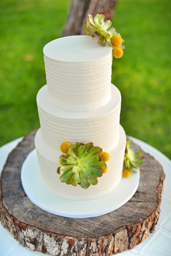 succulents on white wedding cake