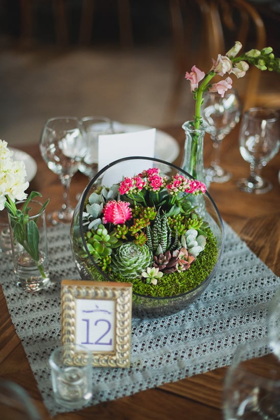 table number and mini succulent and cactus garden