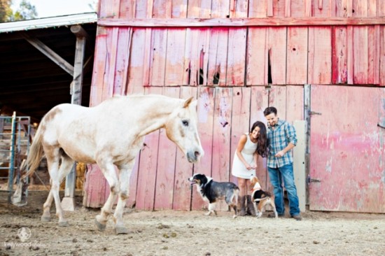 Happy couple with dogs and a horse near a rustic barn