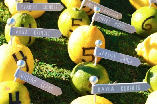 Creative wedding place cards using lemons and directional signs