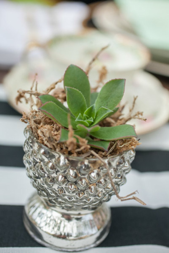 tea-party-for-two-engagement
