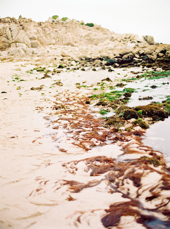 timeless-beach-wedding-ideas