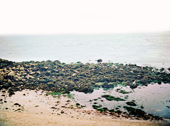 timeless-beach-wedding-ideas