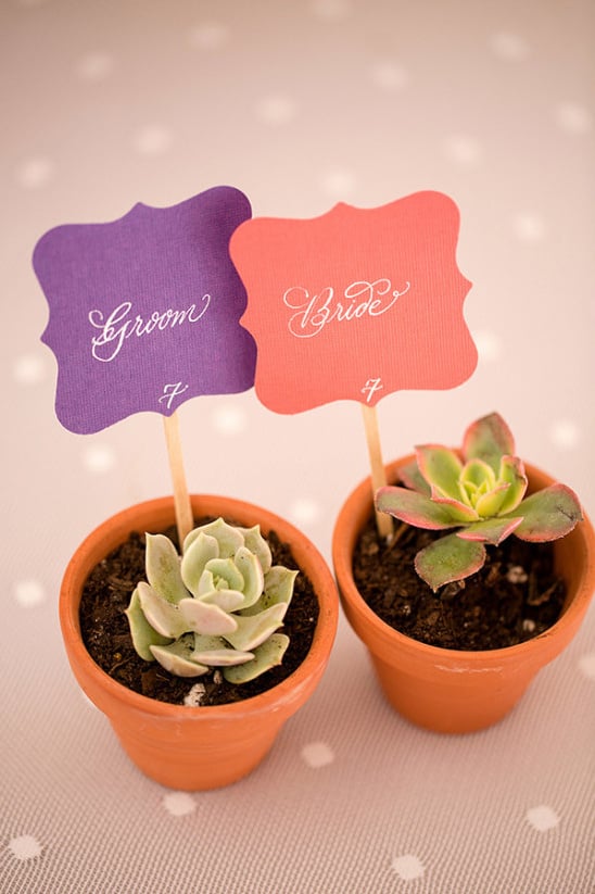 groom and bride succulents